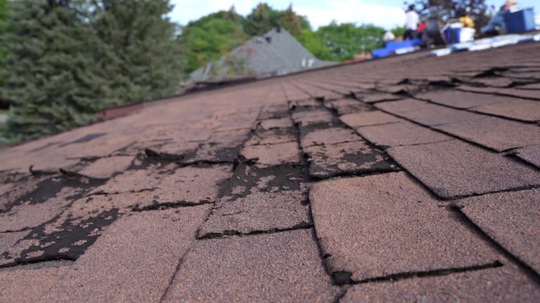 Best Metal Roofing Installation  in Pine Mountain Clu, CA