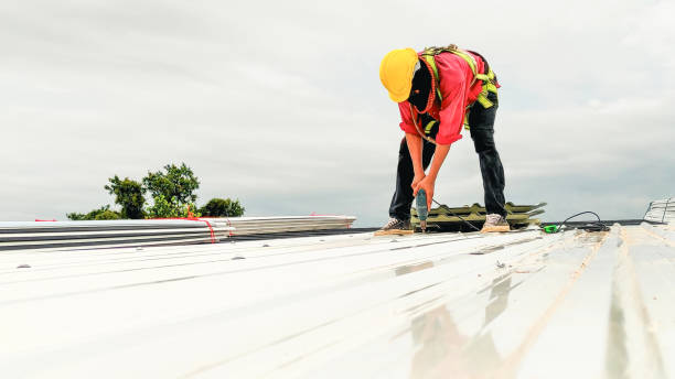 Best Skylight Installation and Repair  in Pine Mountain Clu, CA
